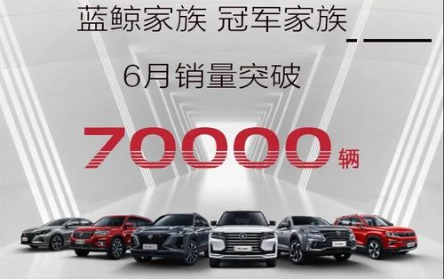 長安汽車6月銷量破19萬 自主發(fā)力,合資回暖